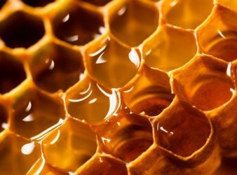 Jalea Real: propiedades, composición y cómo incorporarla a tu rutina
