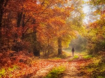 Octubre: cómo cuidar tu bienestar con la llegada del otoño